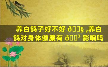 养白鸽子好不好 🐧 ,养白鸽对身体健康有 🌳 影响吗